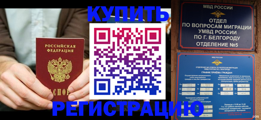 прописка 2025 в Кашине